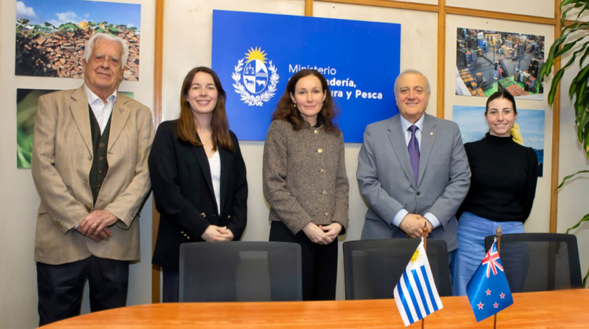 Avances en acceso de carne ovina y productos lácteos entre nuestro país y Nueva Zelanda
