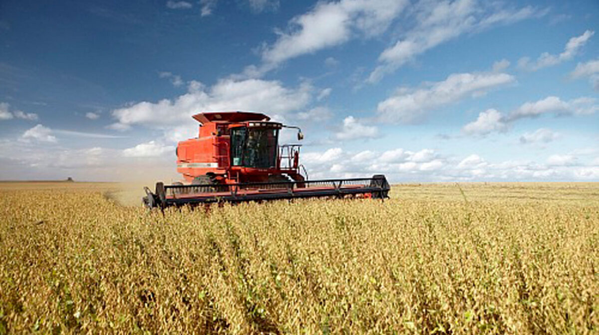 Exportaciones crecieron 10% en setiembre