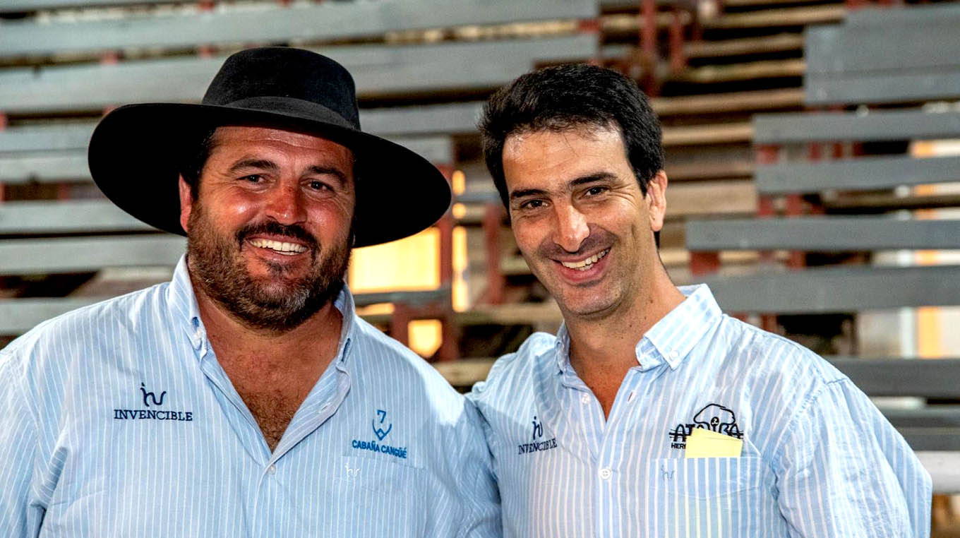 El Polled Hereford y Brangus de “Genética del Litoral” se vende el martes en Paysandú