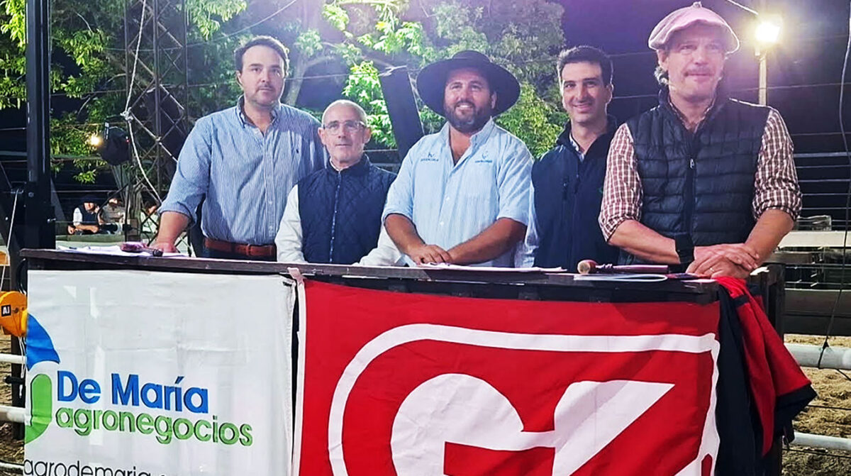 El Polled Hereford y Brangus de Genética del Litoral promedió U$S 4.483 en la Exposición de Paysandú