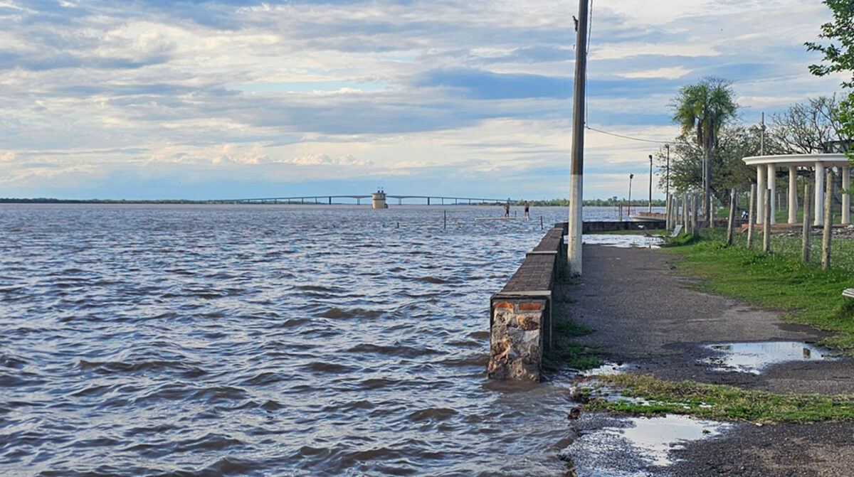 Creciente podría afectar al menos a unas 800 personas si el río alcanza los 7,60 metros