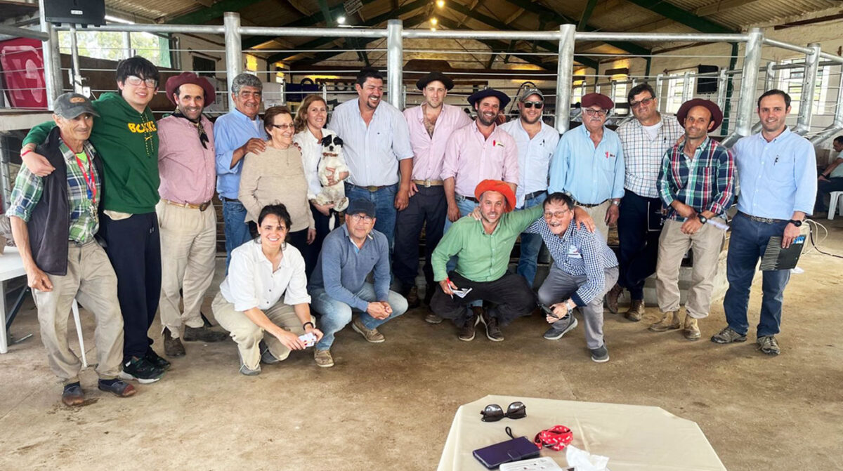 Promedio de U$S 4.818 por los 53 toros de “Rincón de los Negros”