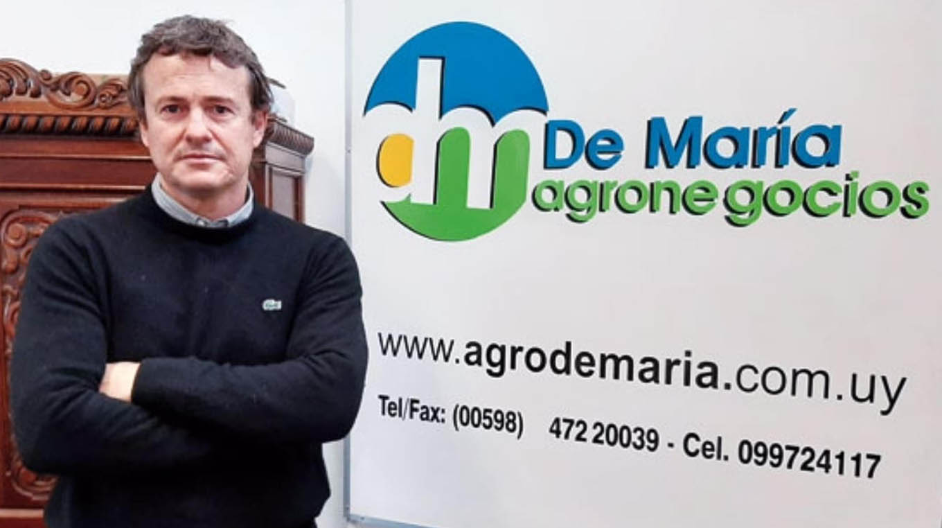 De María Agronegocios con precio récord por lote de terneros en Lote 21: U$S 6,42