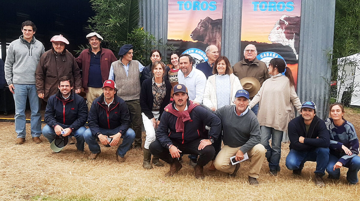 Tierra de Toros: Polled Hereford de Santa Inés U$S 6.146 y Angus de la Sorpresa en U$S 4.981