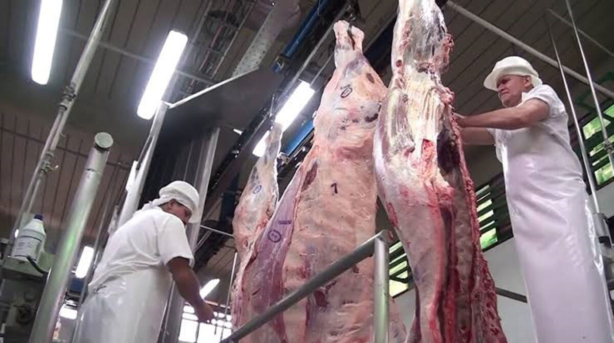 Primeras negociaciones por regreso de cuadrillas kosher a Sudamérica