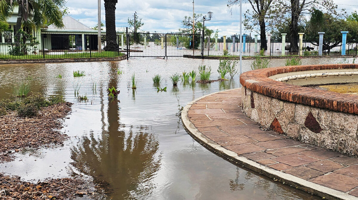 Creciente afecta a 70 personas, pero el río comienza a descender