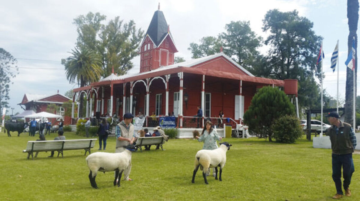 Comienza mañana con diversidad de atractivos la 80.ª Exposición de Reproductores de Paysandú