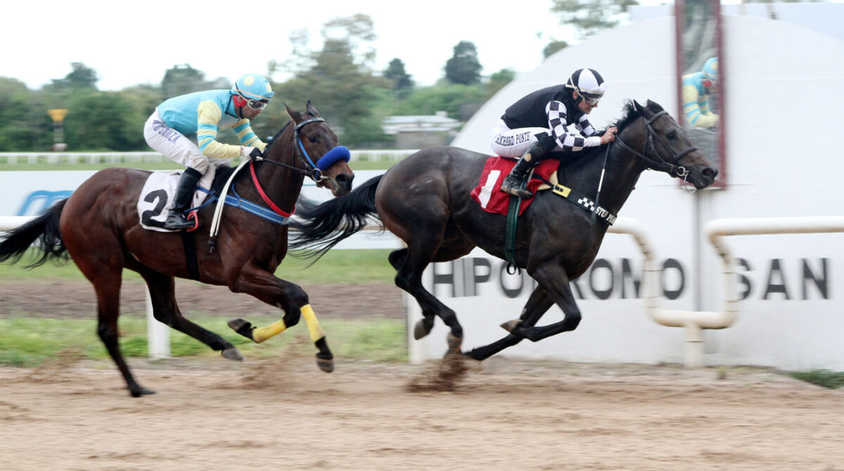 Charming Ness ganó el Especial en San Félix