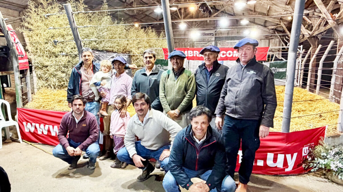 Los 34 toros de San Rafael promediaron U$S 4.009
